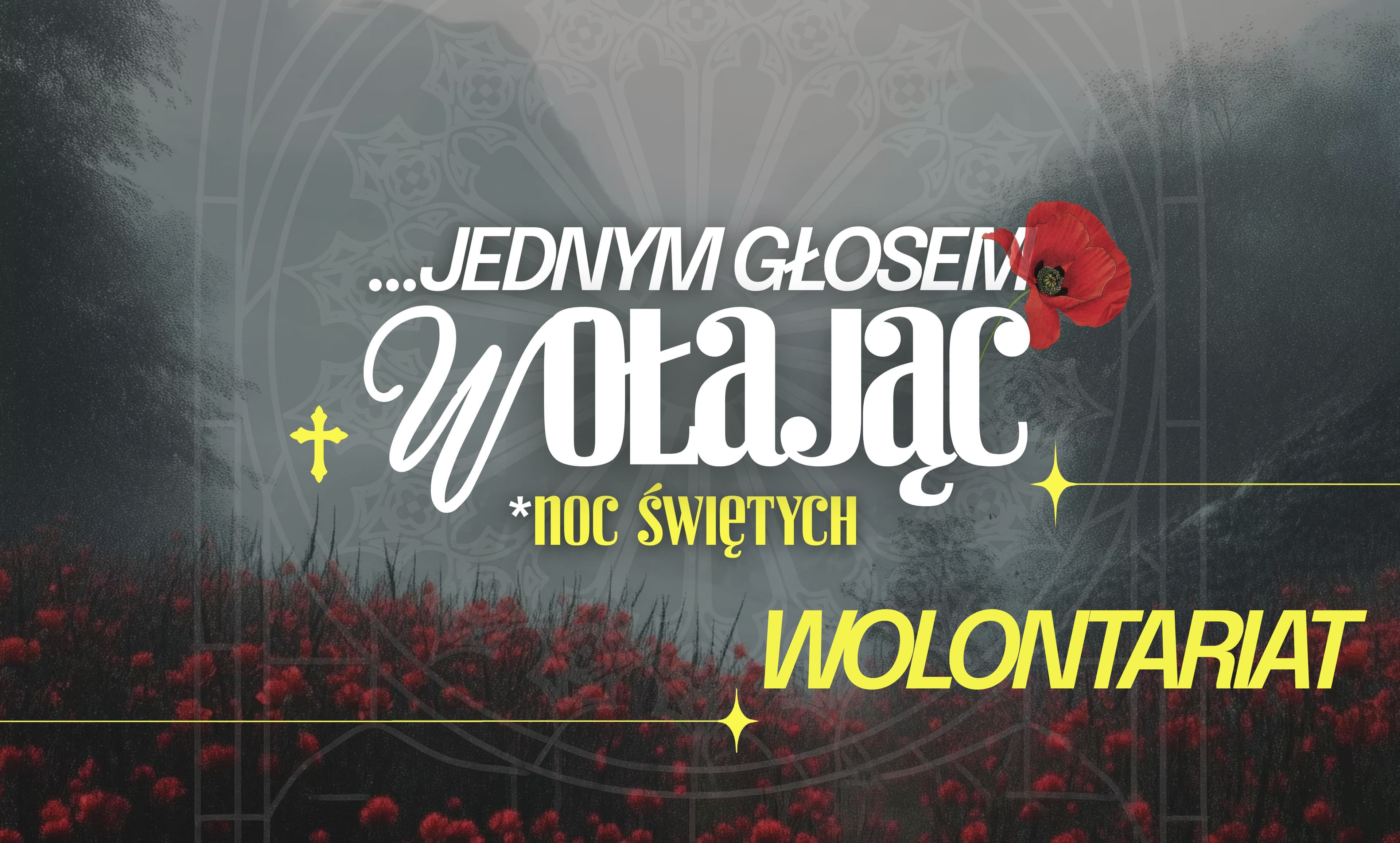 Wolontariat – Noc Świętych 2026